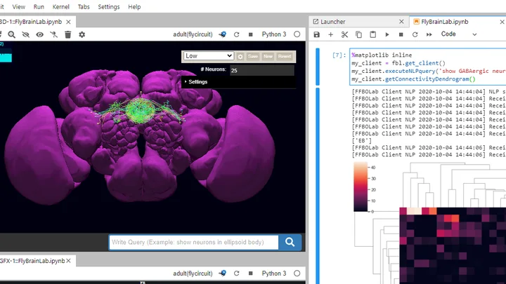 FlyBrainLab thumbnail
