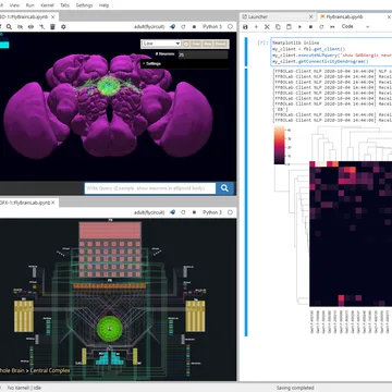 Accelerating with FlyBrainLab the discovery of the functional logic of the Drosophila brain in the connectomic and synaptomic era